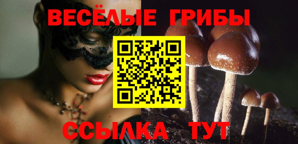 Псилоцибиновые грибы Psilocybine cubensis  цены наркотик  Вход с VPN  Прохладный  Псилоцибиновые грибы мухоморы 